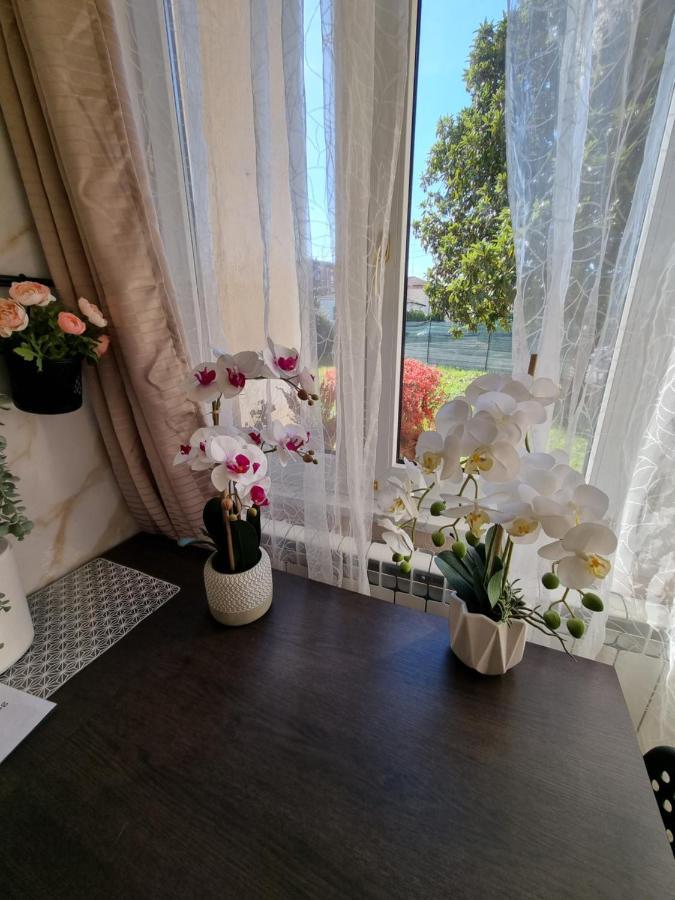 Alloggio Silva Гориция Екстериор снимка